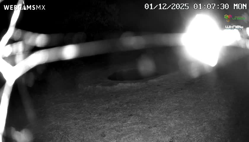Rancho La Onza Waterhole Animals Live Live Cam - San Luiz de la Paz, Guanajuato, Mexico