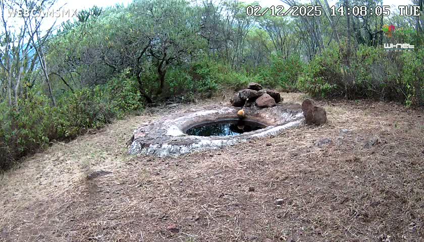 Rancho La Onza Waterhole Animals Live Live Cam - San Luiz de la Paz, Guanajuato, Mexico