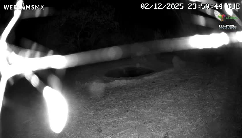 Rancho La Onza Waterhole Animals Live Live Cam - San Luiz de la Paz, Guanajuato, Mexico
