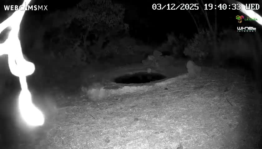 Rancho La Onza Waterhole Animals Live Live Cam - San Luiz de la Paz, Guanajuato, Mexico