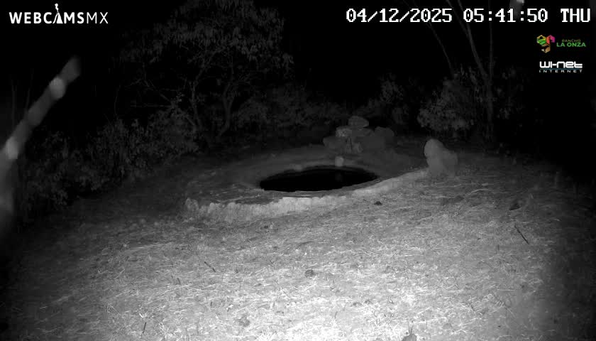 Rancho La Onza Waterhole Animals Live Live Cam - San Luiz de la Paz, Guanajuato, Mexico