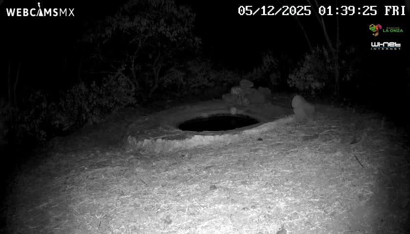 Rancho La Onza Waterhole Animals Live Live Cam - San Luiz de la Paz, Guanajuato, Mexico