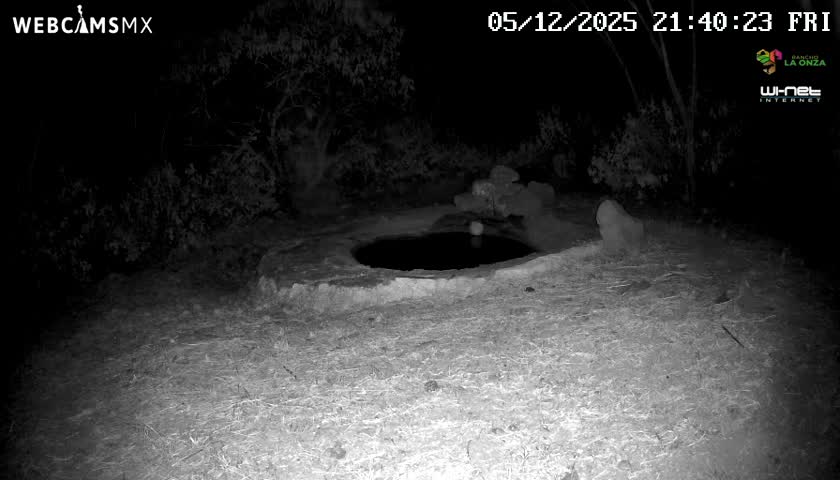 Rancho La Onza Waterhole Animals Live Live Cam - San Luiz de la Paz, Guanajuato, Mexico