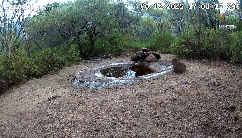 Rancho La Onza Waterhole Animals Live Live Cam - San Luiz de la Paz, Guanajuato, Mexico