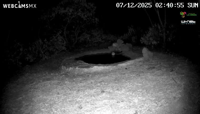 Rancho La Onza Waterhole Animals Live Live Cam - San Luiz de la Paz, Guanajuato, Mexico
