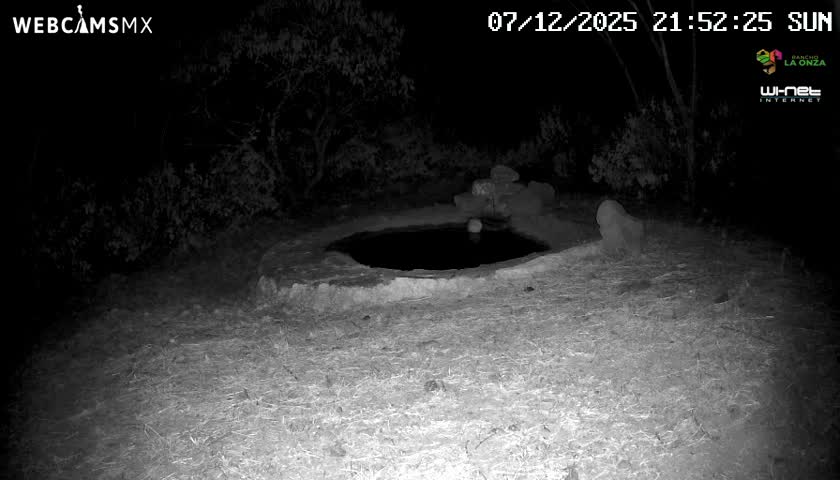 Rancho La Onza Waterhole Animals Live Live Cam - San Luiz de la Paz, Guanajuato, Mexico