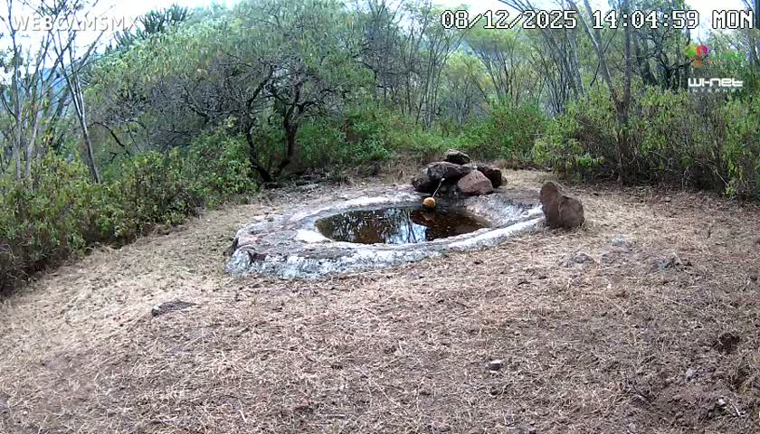 Rancho La Onza Waterhole Animals Live Live Cam - San Luiz de la Paz, Guanajuato, Mexico