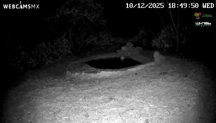 Rancho La Onza Waterhole Animals Live Live Cam - San Luiz de la Paz, Guanajuato, Mexico