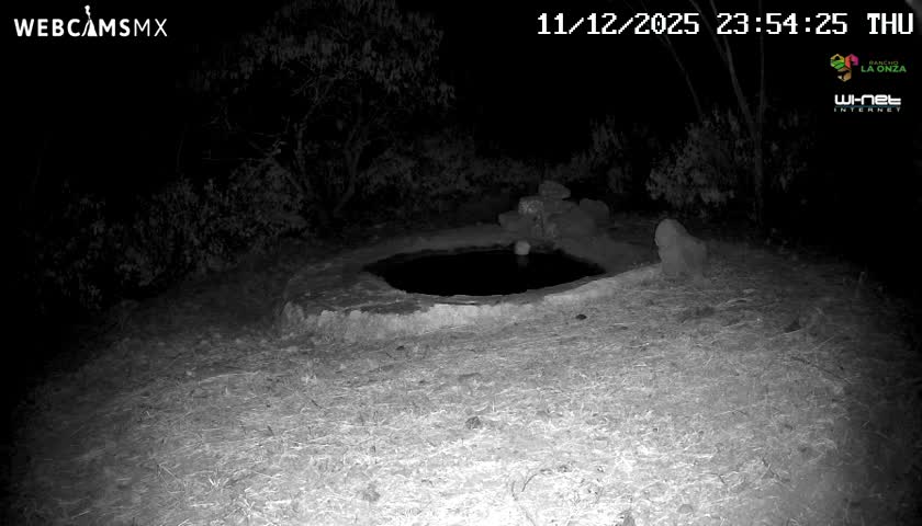 Rancho La Onza Waterhole Animals Live Live Cam - San Luiz de la Paz, Guanajuato, Mexico
