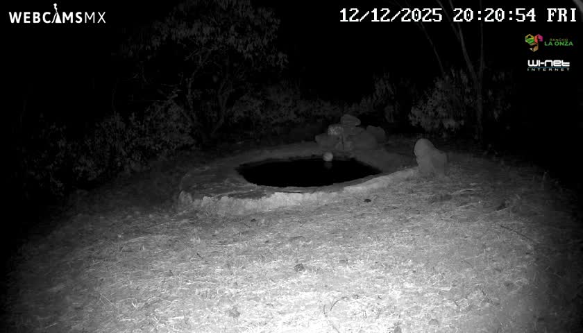 Rancho La Onza Waterhole Animals Live Live Cam - San Luiz de la Paz, Guanajuato, Mexico