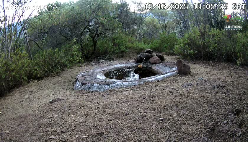 Rancho La Onza Waterhole Animals Live Live Cam - San Luiz de la Paz, Guanajuato, Mexico
