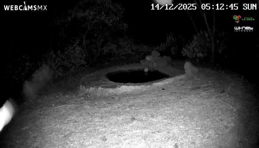 An outdoor night vision image shows a dark, circular opening in the ground surrounded by sparse vegetation under nighttime conditions, with several blurry bright light streaks crossing the frame.