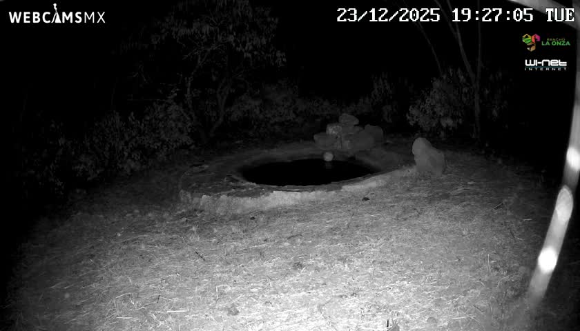 Rancho La Onza Waterhole Animals Live Live Cam - San Luiz de la Paz, Guanajuato, Mexico