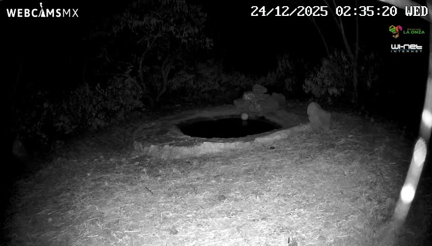 An outdoor night vision image shows a dark, circular opening in the ground surrounded by sparse vegetation under nighttime conditions, with several blurry bright light streaks crossing the frame.