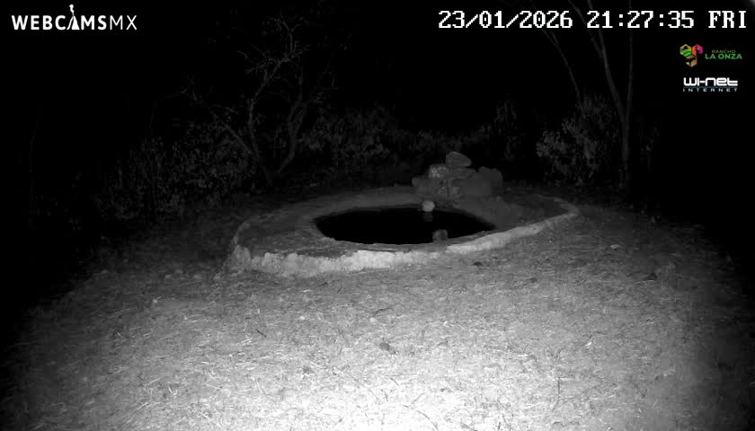 Rancho La Onza Waterhole Animals Live Live Cam - San Luiz de la Paz, Guanajuato, Mexico