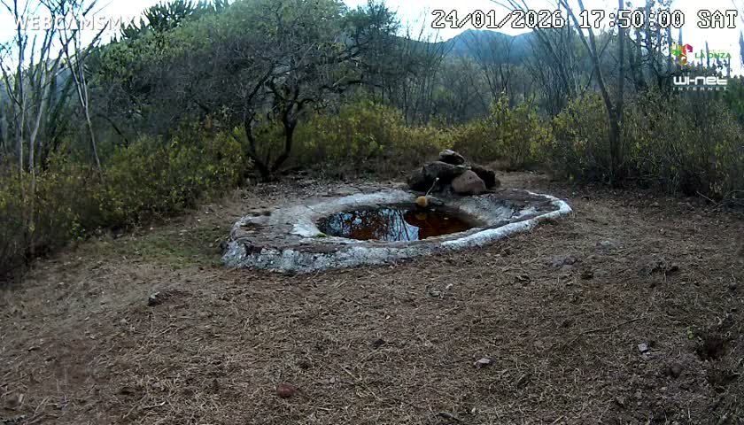 Rancho La Onza Waterhole Animals Live Live Cam - San Luiz de la Paz, Guanajuato, Mexico