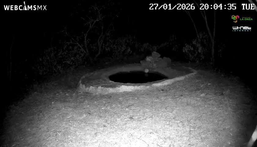 Rancho La Onza Waterhole Animals Live Live Cam - San Luiz de la Paz, Guanajuato, Mexico