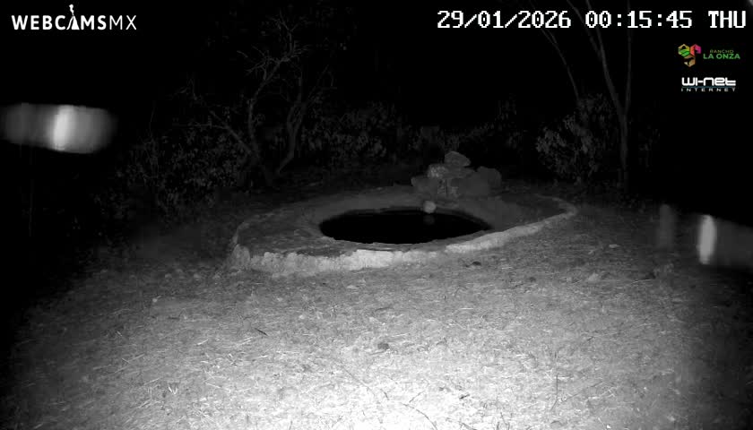 Rancho La Onza Waterhole Animals Live Live Cam - San Luiz de la Paz, Guanajuato, Mexico
