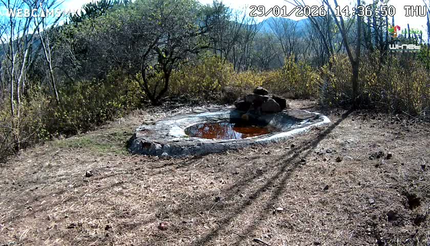 Rancho La Onza Waterhole Animals Live Live Cam - San Luiz de la Paz, Guanajuato, Mexico
