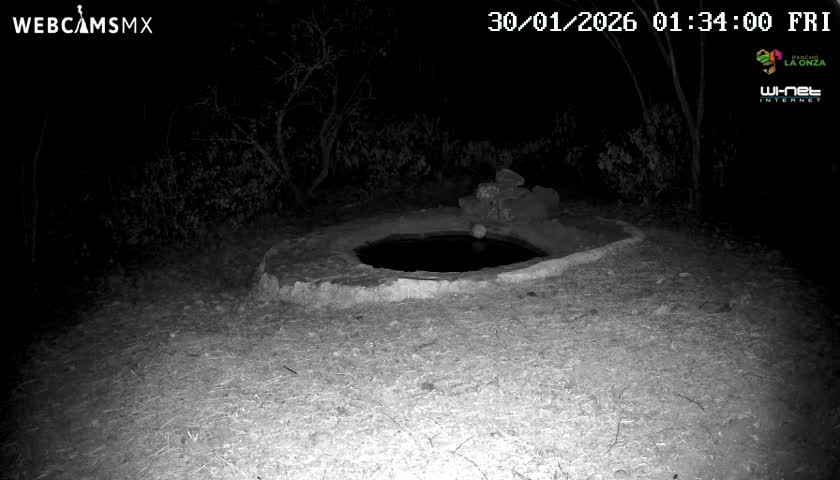 Rancho La Onza Waterhole Animals Live Live Cam - San Luiz de la Paz, Guanajuato, Mexico