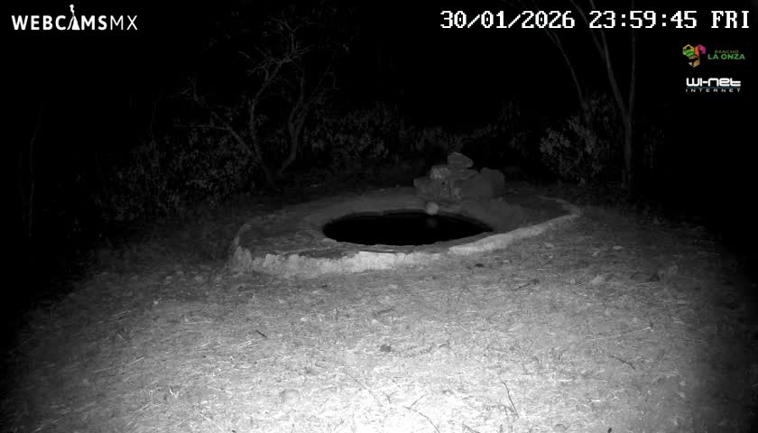 Rancho La Onza Waterhole Animals Live Live Cam - San Luiz de la Paz, Guanajuato, Mexico