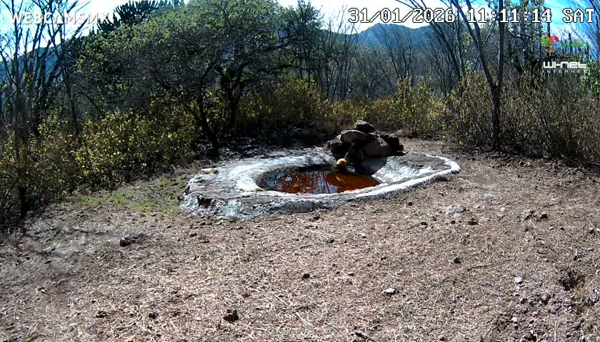 Rancho La Onza Waterhole Animals Live Live Cam - San Luiz de la Paz, Guanajuato, Mexico