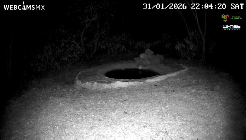 Rancho La Onza Waterhole Animals Live Live Cam - San Luiz de la Paz, Guanajuato, Mexico