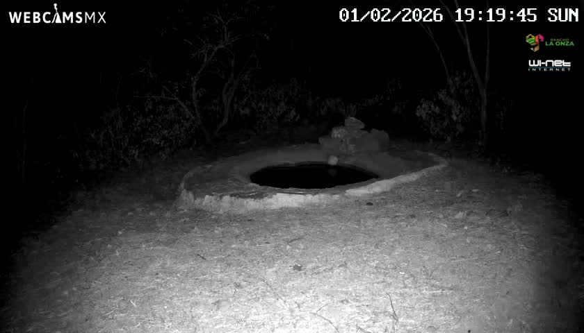 Rancho La Onza Waterhole Animals Live Live Cam - San Luiz de la Paz, Guanajuato, Mexico
