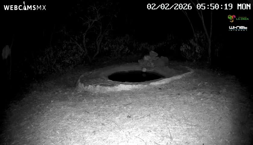 Rancho La Onza Waterhole Animals Live Live Cam - San Luiz de la Paz, Guanajuato, Mexico