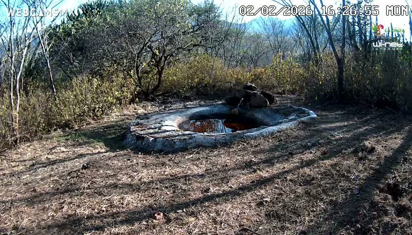 Rancho La Onza Waterhole Animals Live Live Cam - San Luiz de la Paz, Guanajuato, Mexico