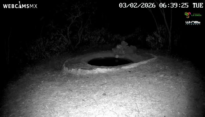 Rancho La Onza Waterhole Animals Live Live Cam - San Luiz de la Paz, Guanajuato, Mexico