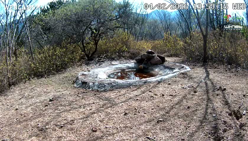 Rancho La Onza Waterhole Animals Live Live Cam - San Luiz de la Paz, Guanajuato, Mexico
