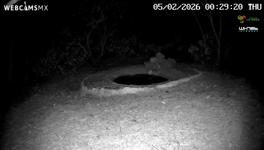 Rancho La Onza Waterhole Animals Live Live Cam - San Luiz de la Paz, Guanajuato, Mexico