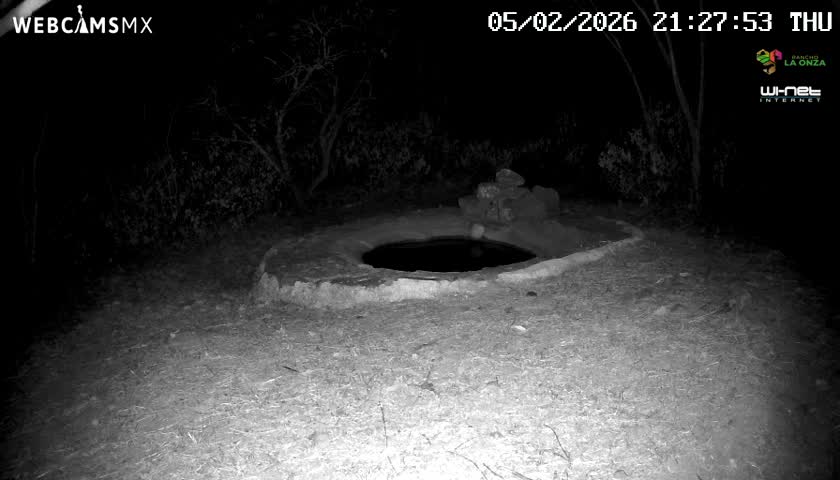 Rancho La Onza Waterhole Animals Live Live Cam - San Luiz de la Paz, Guanajuato, Mexico