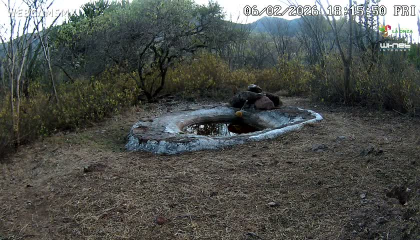 Rancho La Onza Waterhole Animals Live Live Cam - San Luiz de la Paz, Guanajuato, Mexico
