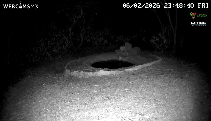 Rancho La Onza Waterhole Animals Live Live Cam - San Luiz de la Paz, Guanajuato, Mexico