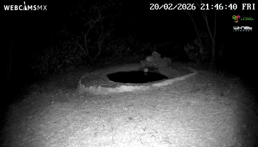 Rancho La Onza Waterhole Animals Live Live Cam - San Luiz de la Paz, Guanajuato, Mexico