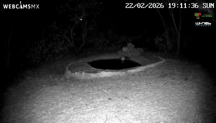 Rancho La Onza Waterhole Animals Live Live Cam - San Luiz de la Paz, Guanajuato, Mexico