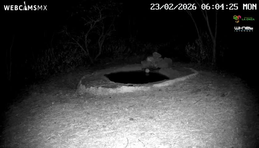 Rancho La Onza Waterhole Animals Live Live Cam - San Luiz de la Paz, Guanajuato, Mexico