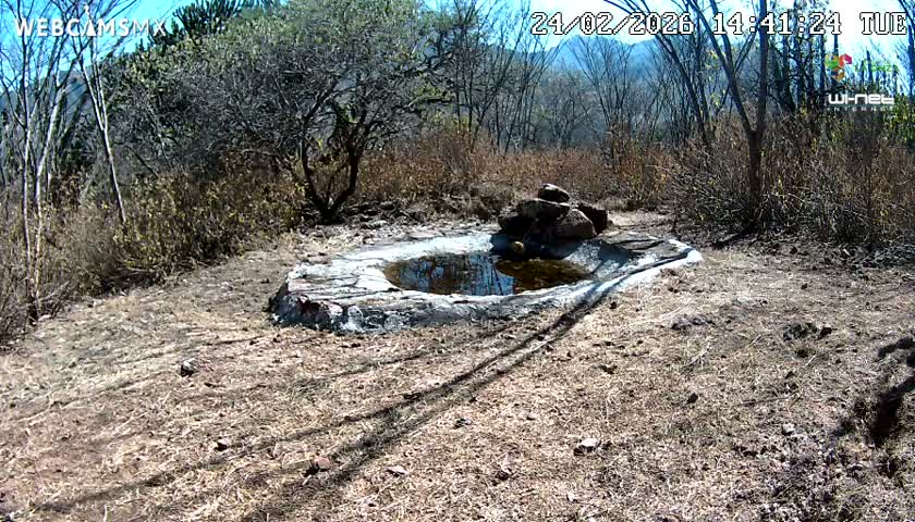 Rancho La Onza Waterhole Animals Live Live Cam - San Luiz de la Paz, Guanajuato, Mexico