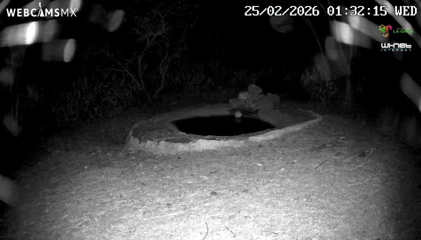 Rancho La Onza Waterhole Animals Live Live Cam - San Luiz de la Paz, Guanajuato, Mexico