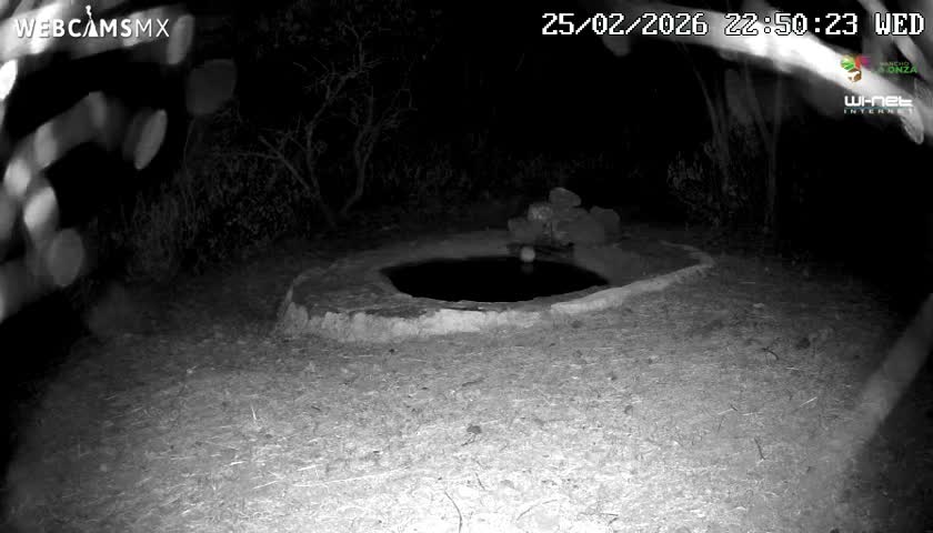Rancho La Onza Waterhole Animals Live Live Cam - San Luiz de la Paz, Guanajuato, Mexico