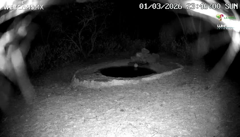 Rancho La Onza Waterhole Animals Live Live Cam - San Luiz de la Paz, Guanajuato, Mexico
