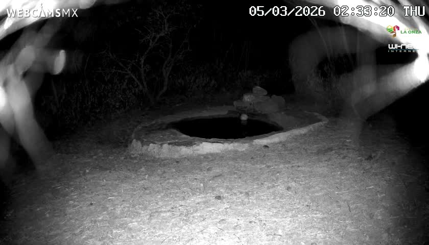 Rancho La Onza Waterhole Animals Live Live Cam - San Luiz de la Paz, Guanajuato, Mexico
