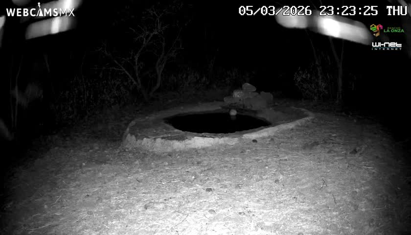 Rancho La Onza Waterhole Animals Live Live Cam - San Luiz de la Paz, Guanajuato, Mexico