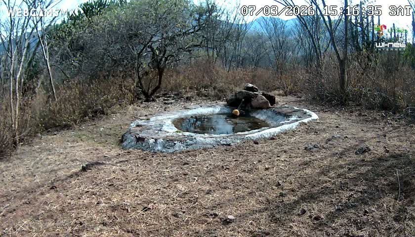 Rancho La Onza Waterhole Animals Live Live Cam - San Luiz de la Paz, Guanajuato, Mexico