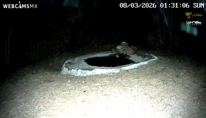Rancho La Onza Waterhole Animals Live Live Cam - San Luiz de la Paz, Guanajuato, Mexico