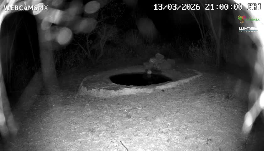Rancho La Onza Waterhole Animals Live Live Cam - San Luiz de la Paz, Guanajuato, Mexico