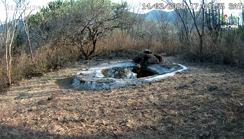 Rancho La Onza Waterhole Animals Live Live Cam - San Luiz de la Paz, Guanajuato, Mexico