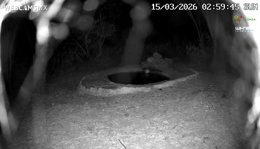 Rancho La Onza Waterhole Animals Live Live Cam - San Luiz de la Paz, Guanajuato, Mexico
